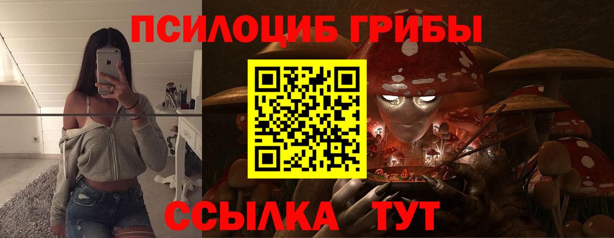 Галлюциногенные грибы Cubensis  Вход с VPN  Кувандык 
